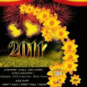 Meet your Posher, Helen abrham